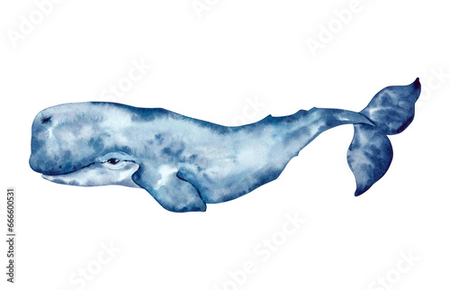 Watercolor blue sperm whale isolated on white background. Hand drawn illustration. Drawing for postcards, stickers, prints. photo