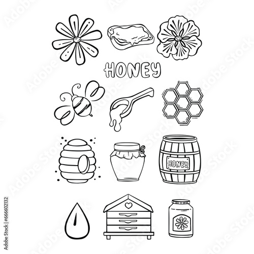 Outline, lines Set with honey, flowers and bees, vector