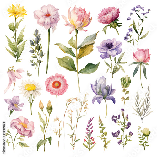 Spring Elegance  Diverse Floral Collection in Watercolor