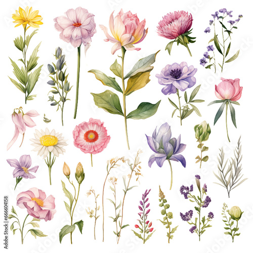 Spring Elegance: Diverse Floral Collection in Watercolor