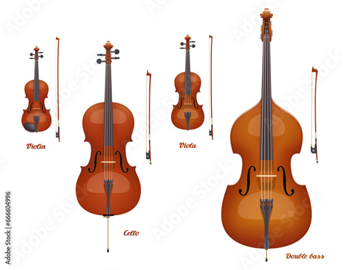Violin family musical instruments. Violin  Viola  Cello  Double Bass. Very realistic. Vector illustration