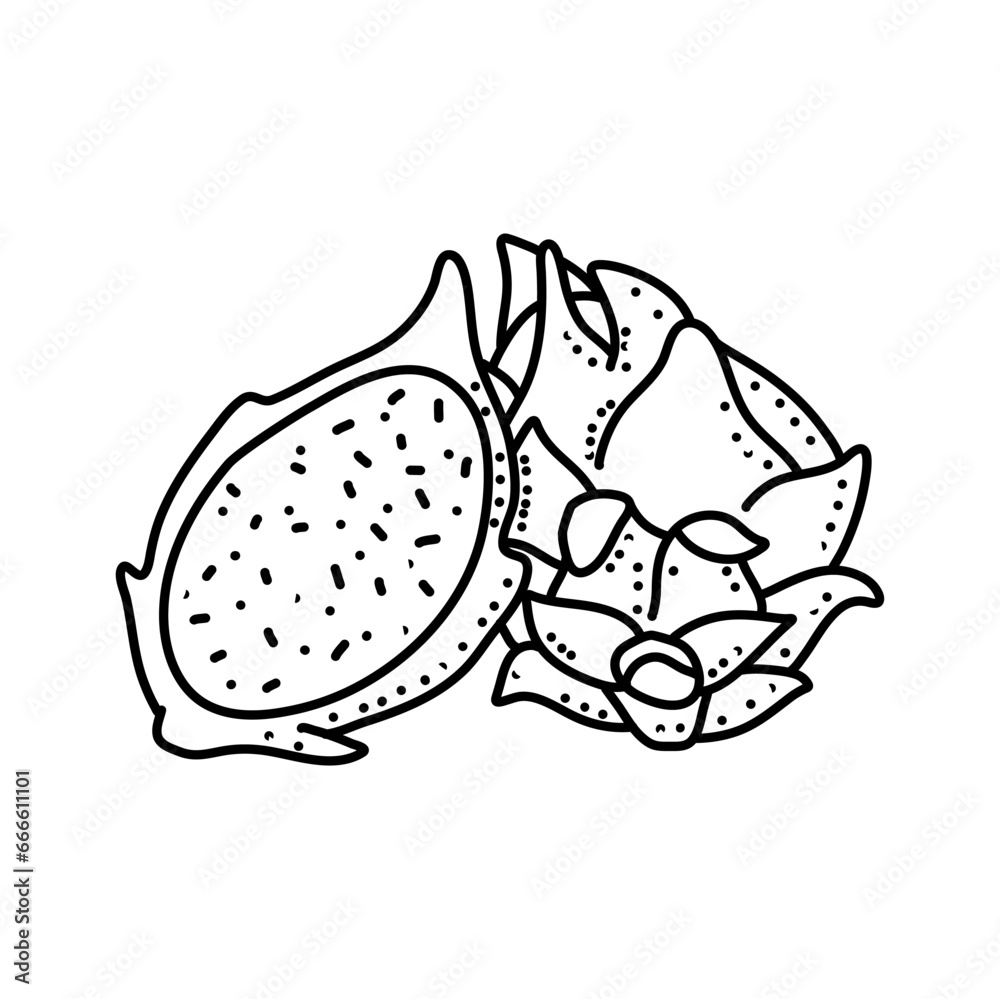 Dragon fruit doodle icon isolated on a white background. vector illustration Dragon fruit doodle icon isolated on a white background. vector illustration