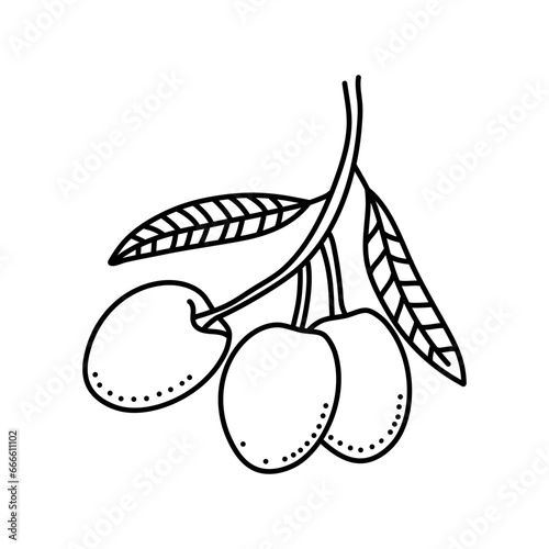 Olives fruit doodle icon design isolated on white background
