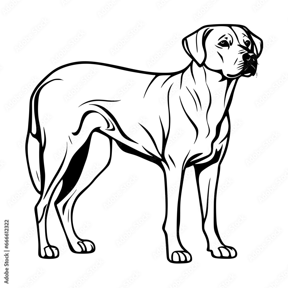 silhouette vector illustration of a dog
