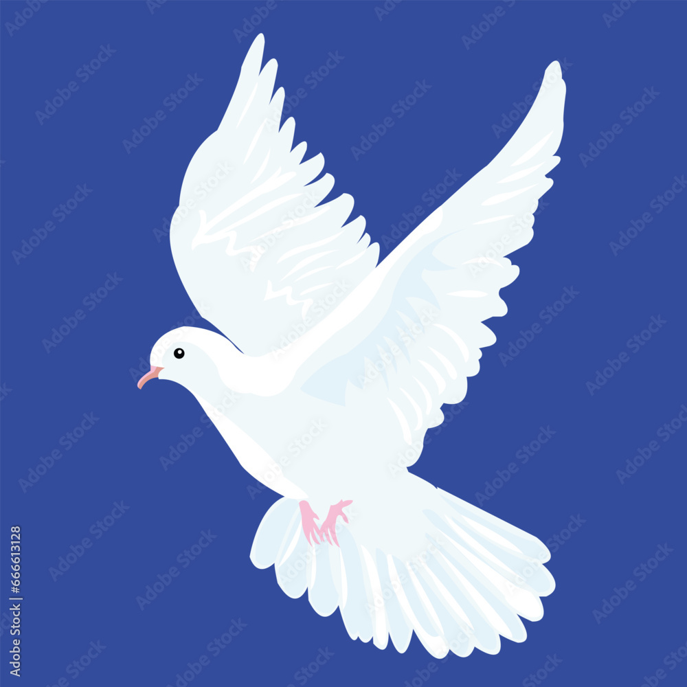 Peace dove, White pigeon, Dove, Peace Symbol Peace dove, White pigeon, Dove, Peace Symbol