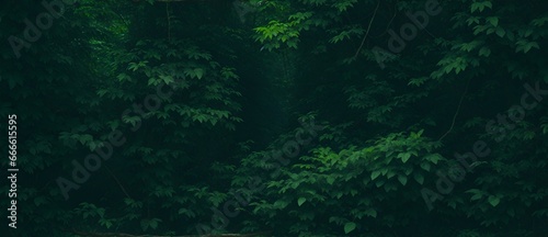 Foliage of dark forest jungle from Generative AI
