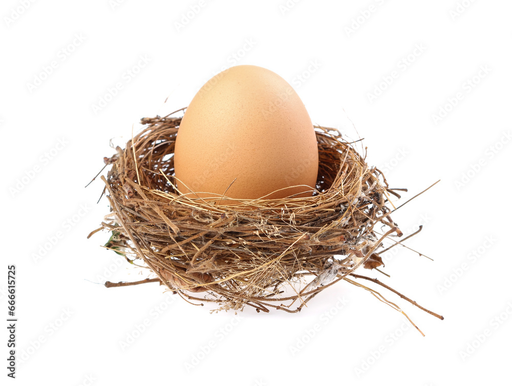 Egg, Chicken Egg isolate on white Egg, Chicken Egg isolate on white