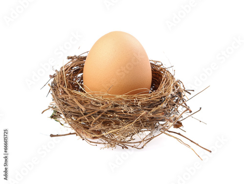 Egg, Chicken Egg isolate on white