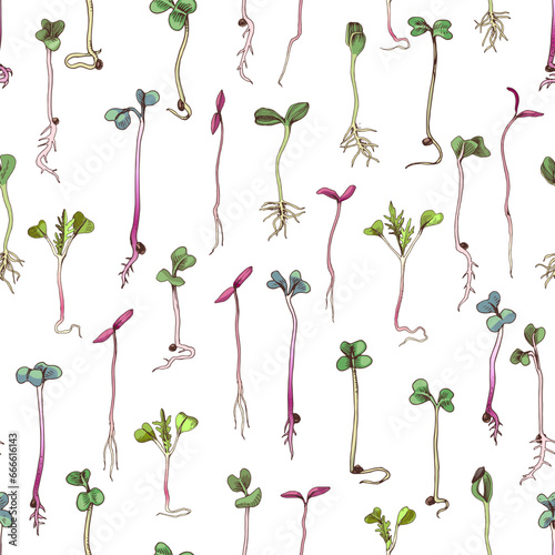 Microgreens hand drawn seamless pattern