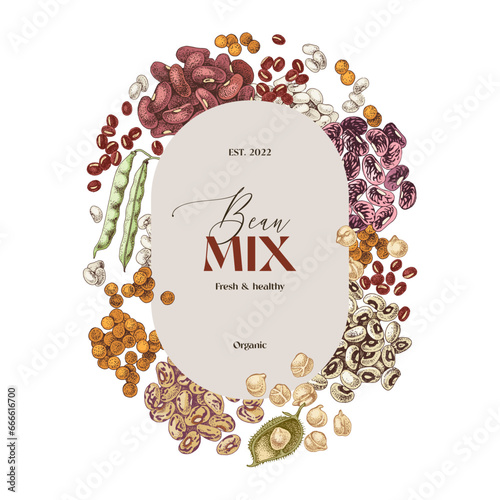 Hand drawn legumes vector label