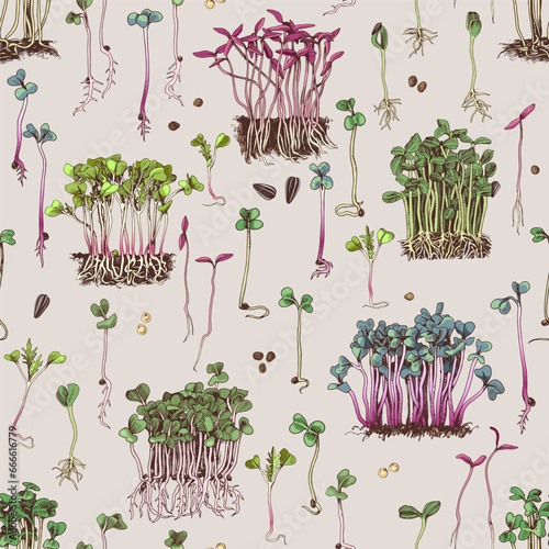 Microgreens hand drawn seamless pattern
