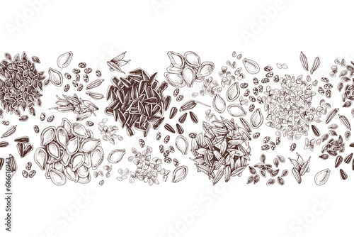 Edible seeds hand drawn seamless border