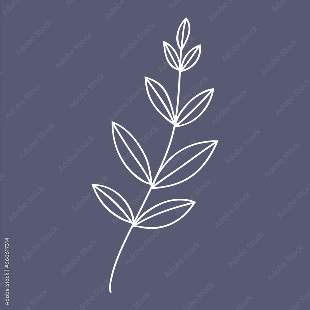 Hand drawn art of elegant leaf. Hand drawn art of elegant leaf.