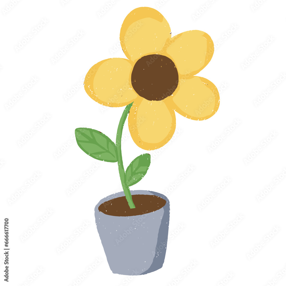 Obraz premium flower in a pot