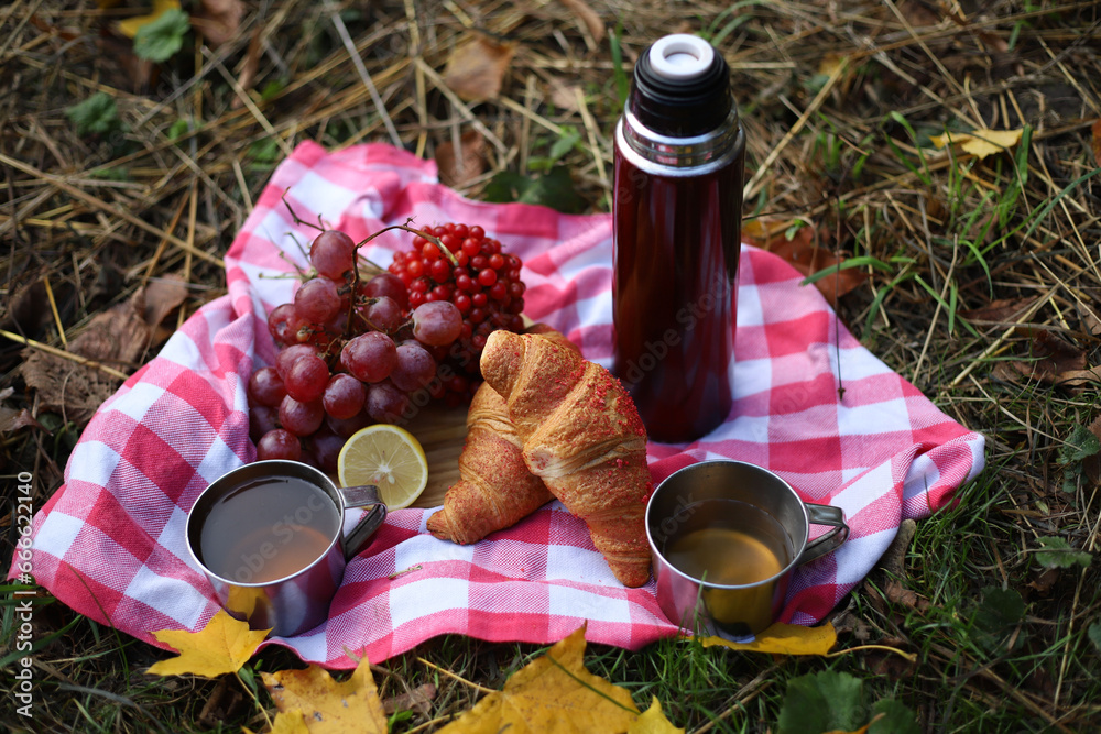 autumn picnic. on a red picnic mat there is a red thermos, two tin mugs with tea, grapes, red healthy viburnum, lemon and two croissants. autumn leaves and trees around