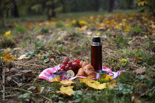 Fototapeta Naklejka Na Ścianę i Meble -  autumn picnic. on a red picnic mat there is a red thermos, two tin mugs with tea, grapes, red healthy viburnum, lemon and two croissants. autumn leaves and trees around