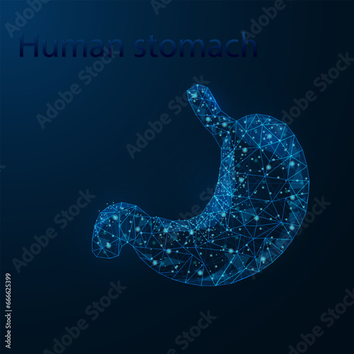 Human stomach anatomy organ translucent low poly triangle futuristic glowing. On dark blue background. Abdomen disease medical innovation concept.