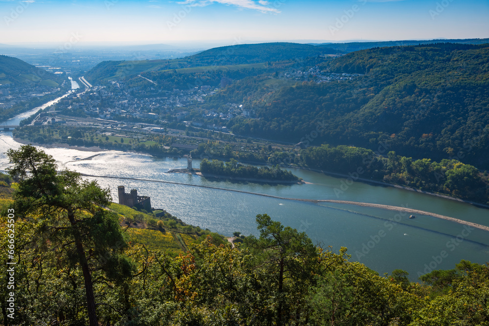 View from the vineyards above the Rhine near Rüdesheim/Germany down into the valley on a sunny autumn morning