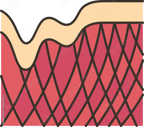 collagen  icon