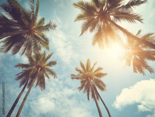 Palm Trees under the Azure Sky: Upward View of Sunlit Blue Sky and White Clouds