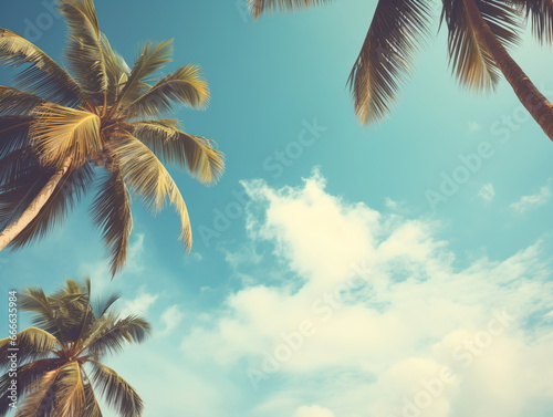 Palm Trees under the Azure Sky: Upward View of Sunlit Blue Sky and White Clouds © duyina1990