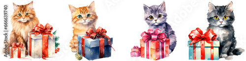 Kitten with gift on white background, christmas or new year concept © terra.incognita