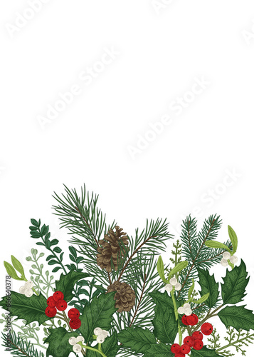 Greeting Christmas card in vintage style. Winter background. Botanical invitation with pine branches  berries  holly  mistletoe spruce. Art-line style.