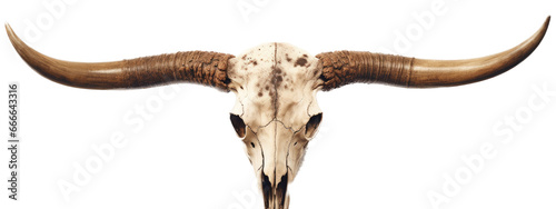 a Bull cow with horns, front view, in an isolated and transparent PNG in a Ranch-themed, photorealistic illustration. Generative ai