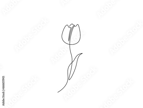 Continuous one line drawing of tulip flower. single line flower vector illustration.