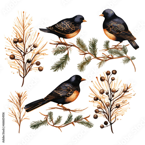 set of birds on branches vectors