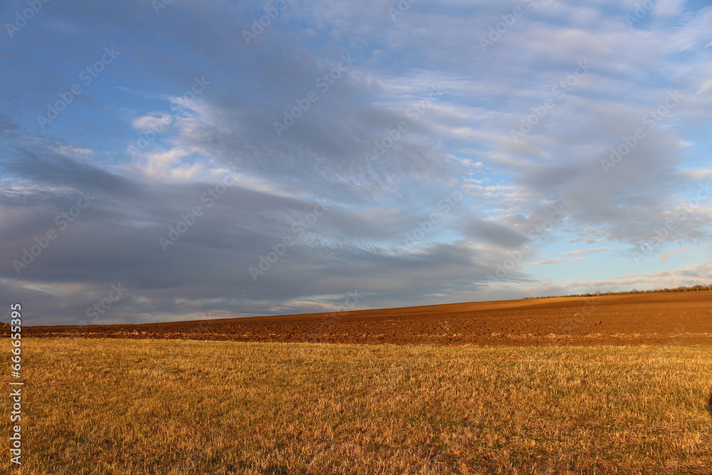 A field of brown grass and blue sky