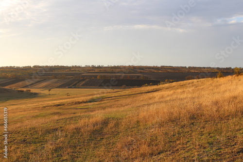 A grassy field with a hill in the background