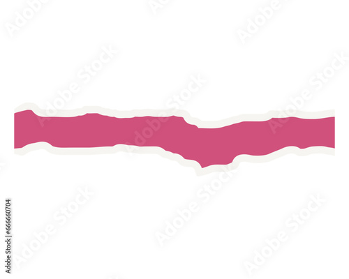 Flat Torn Paper Vector