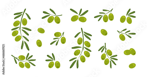 Green olive vector icon, cartoon branch olives, fruit food with leaf, italian or greece berry, oliva oil cooking isolated on white background. Mediterranean illustration