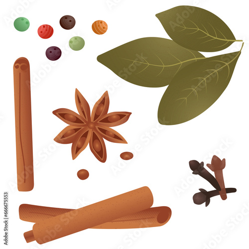 A set of vector spicy spices, spices for mulled wine
