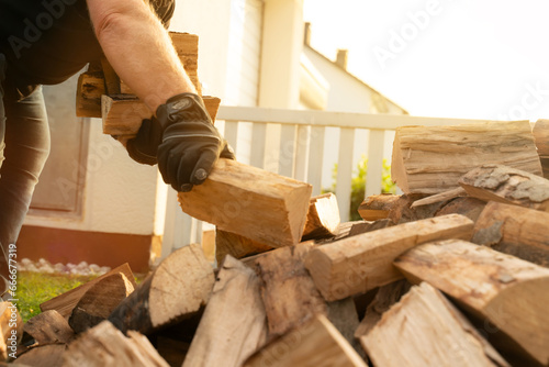 In the garden lies a pile of beech logs that have been delivered. A man bends down and lifts an armful of logs to take it to the firewood shelf. Close up in the autumn light. photo