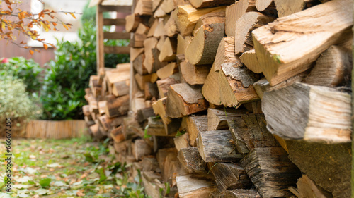 Beech logs are stored in the firewood rack. Outside in front of the house the rack is equipped with a roof against weather conditions. Autumn leaves can be seen.