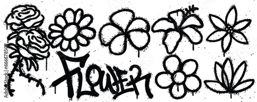 Set flower graffiti spray paint. Collection of rose, daisy, frangipani, hibiscus, jasmine, lotus Isolated Vector #666678508