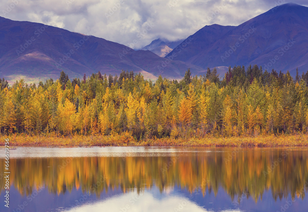 Autumn lake