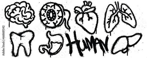 Set human graffiti spray paint. Collection of brain, eye, heart, lungs, liver, stomach, tooth Isolated Vector