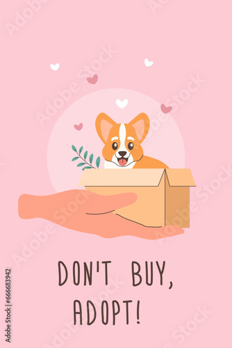 Doggie, corgi Pet adoption, Help homeless animals find