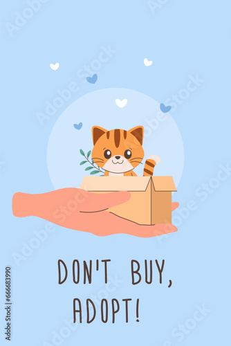 kitty, cat, Pet adoption, Help homeless animals find .