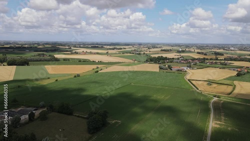 Des champs en Flandre