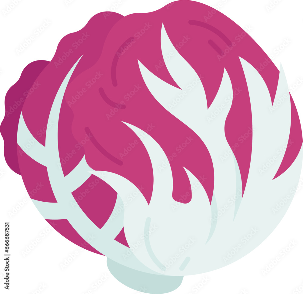 radicchio icon radicchio icon