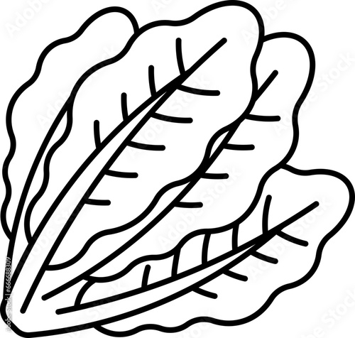 kale  icon