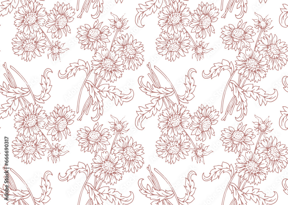 Fototapeta premium Summer pattern with flowers sunflower. Hand draws field plants with ink pink outline sunflower on white background. Design for print, packaging, wallpaper, textile.