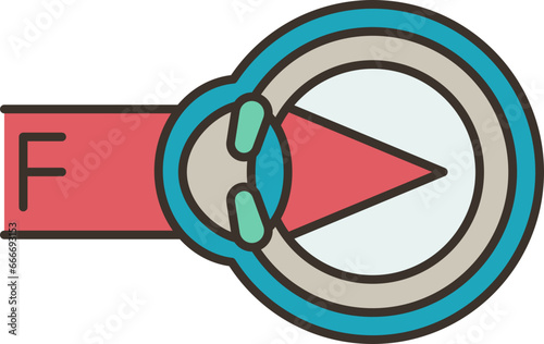 eye  icon