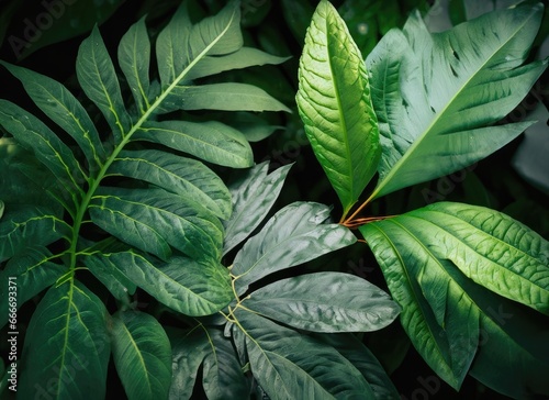 Tropical green leaves on dark background, nature summer forest plant concept. AI Generated.