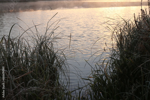 Plants in frost on the river bank against the backdrop of fog and reflections of sunlight from light ripples on the surface of the water on an autumn morning after night frosts