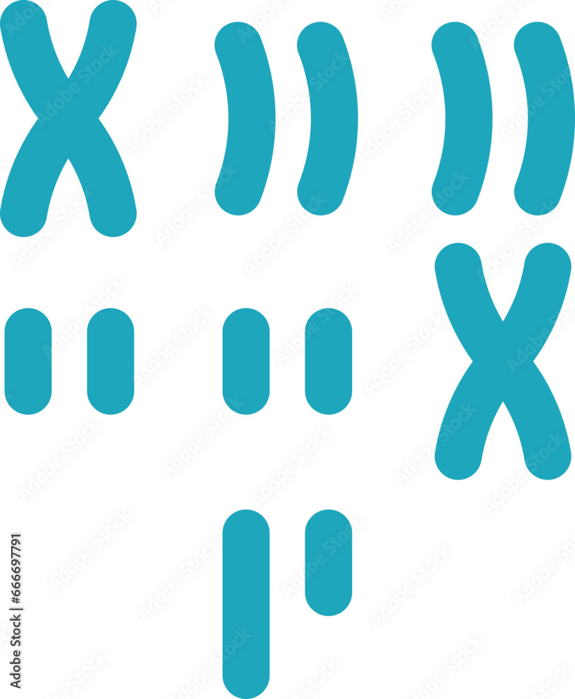 Obraz premium karyotype icon